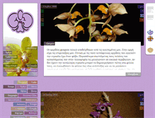 Tablet Screenshot of myorchid.gr